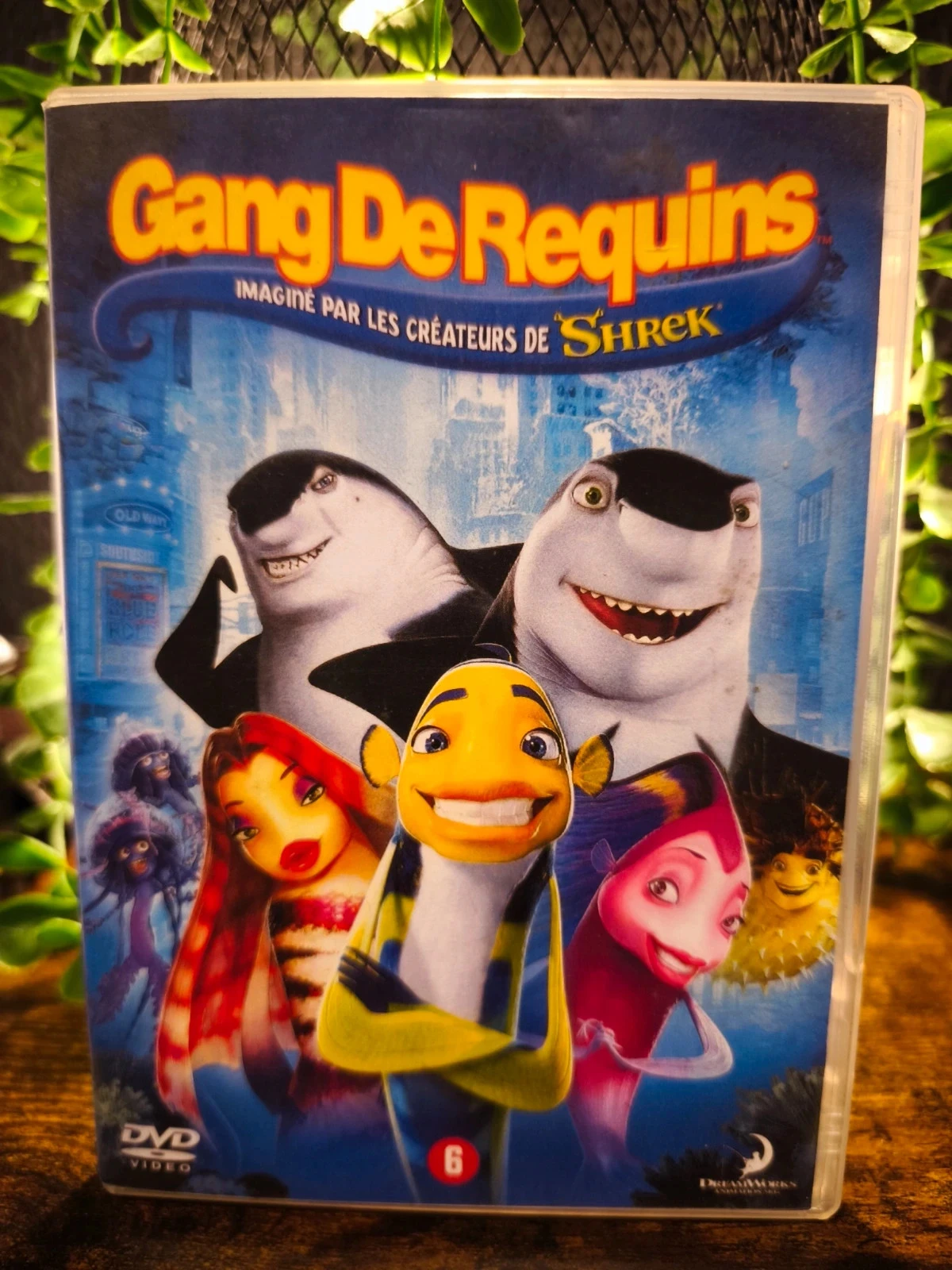 Gang de requins